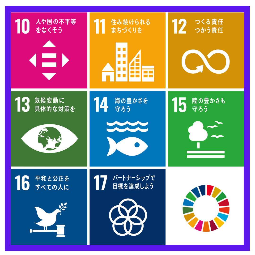 SDGs10-17
