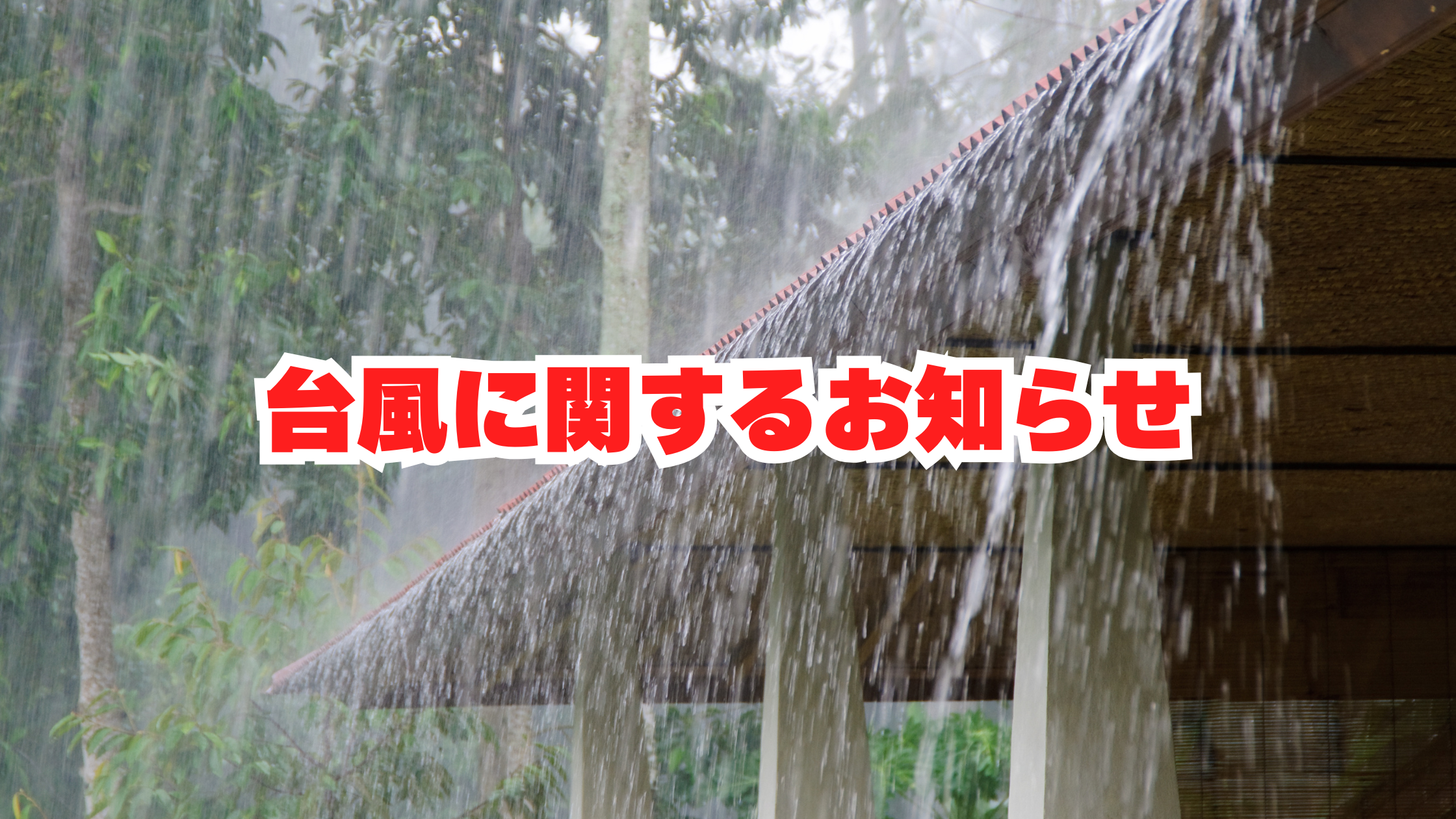 䕗12̂m点